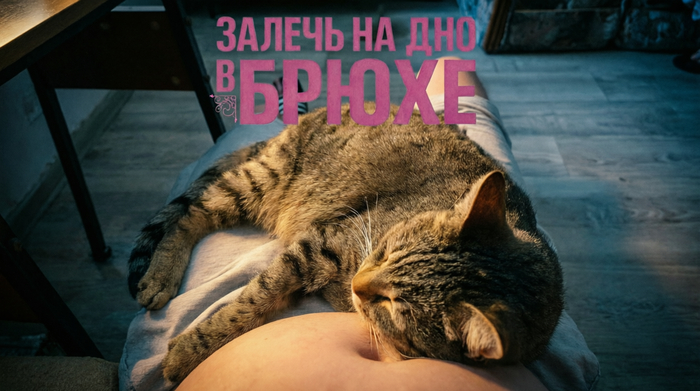 От создателей «Во сне тяжкие»