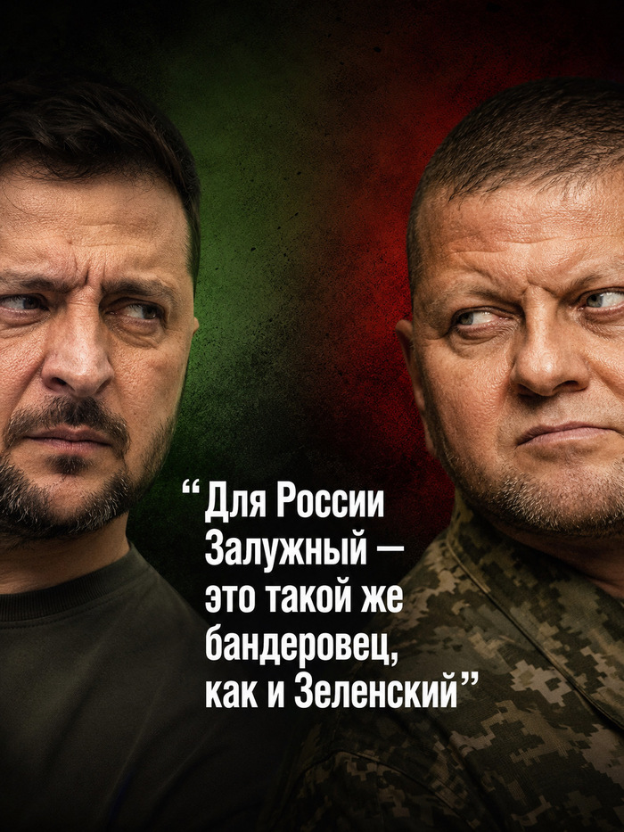 Что Залужный, что Зеленский — это политики войны, а не мира
