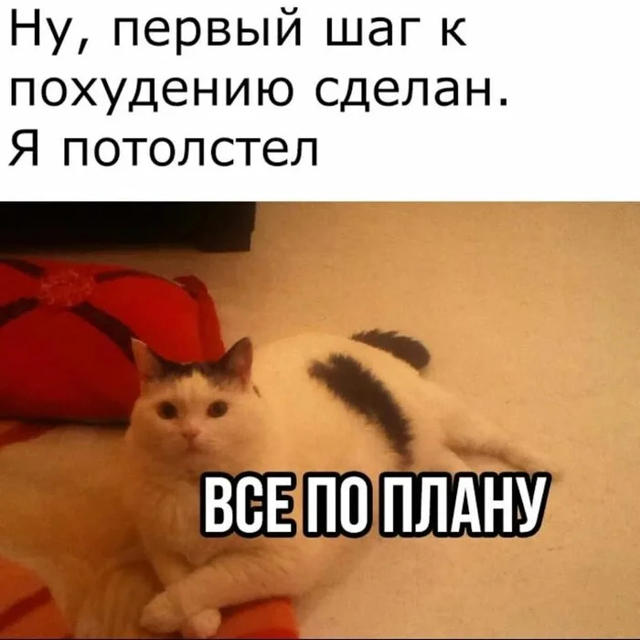 �� ������� ����� ������?