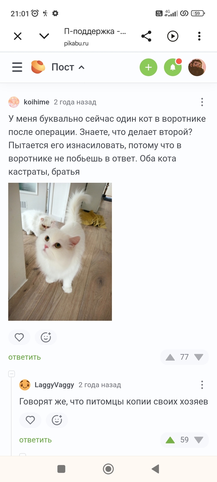 Внезапные комментарии