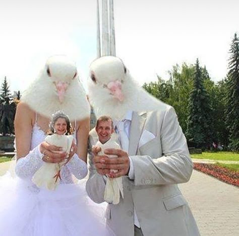 Иногда задумываюсь о ценообразовании в свадебной сфере.