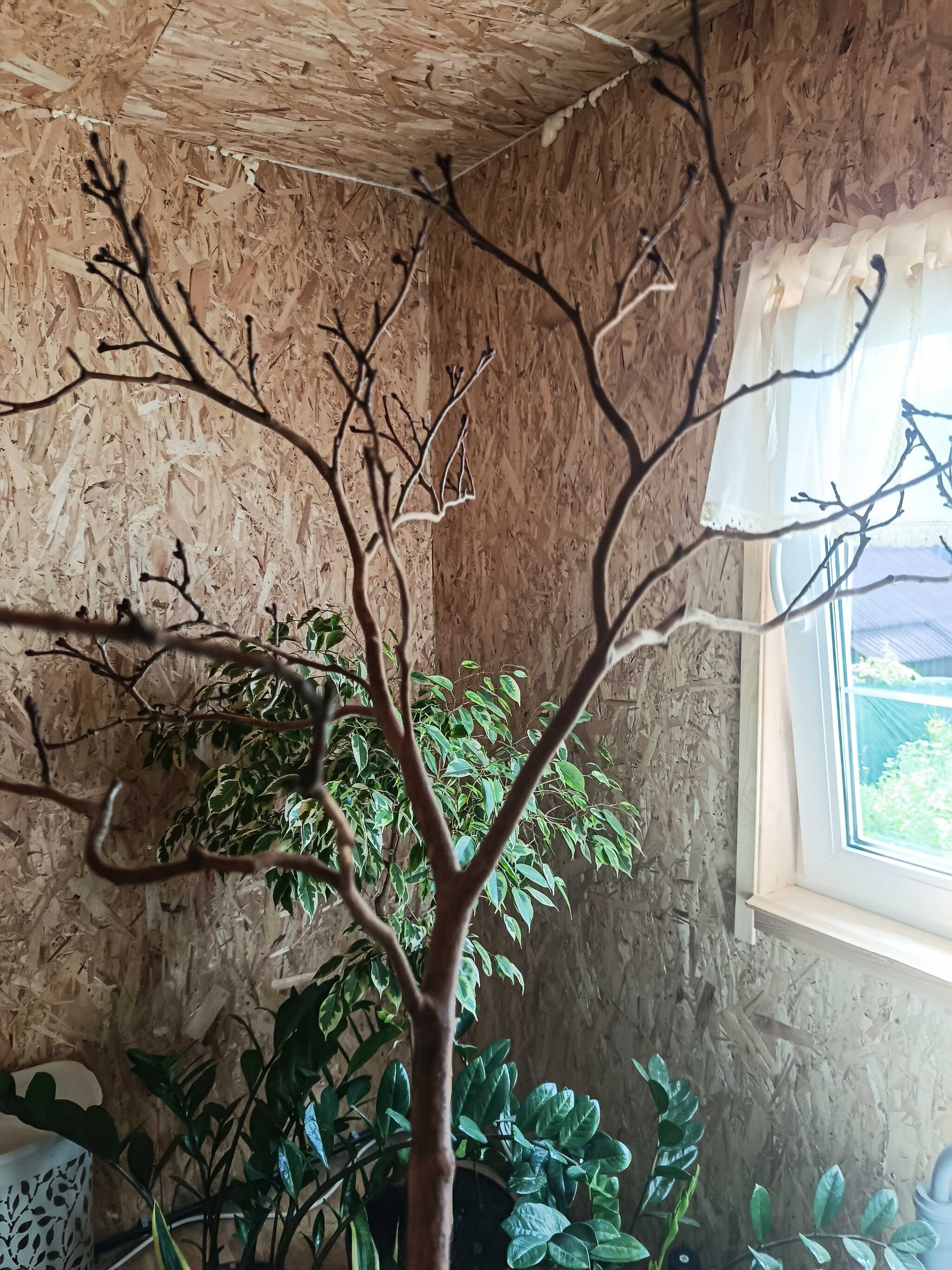 My number two dream is a lampshade over the table. And just lots of photos of our 6x6 house. - My, Dacha, Saint Petersburg, Layout, Longpost, Village