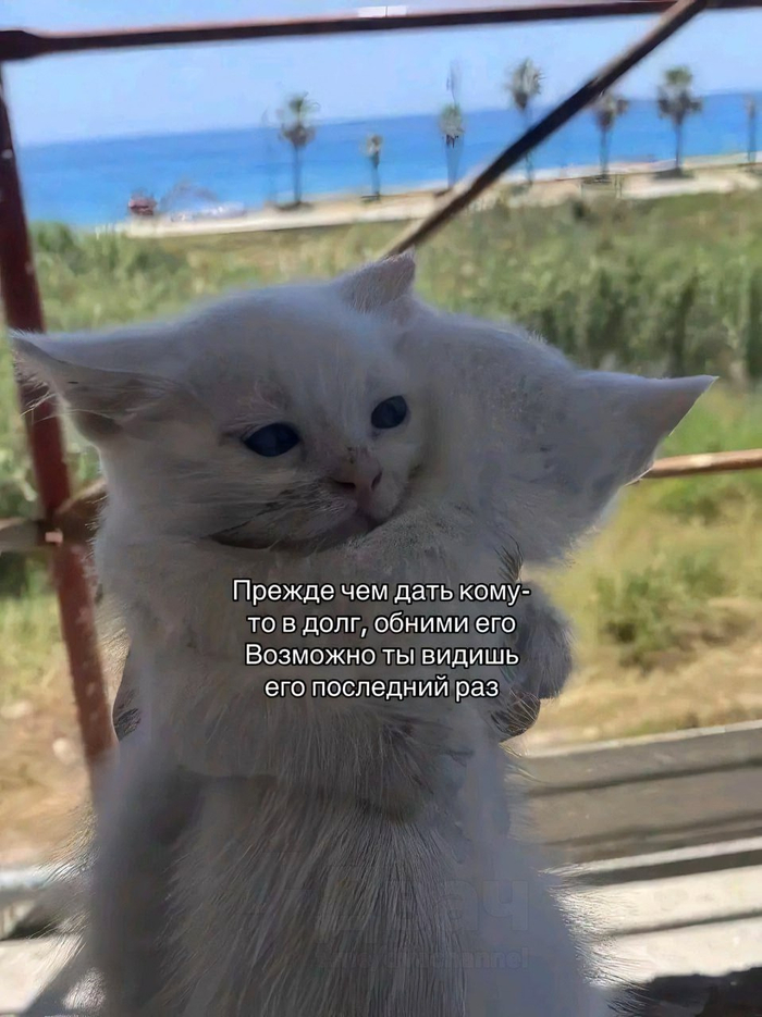 Долг