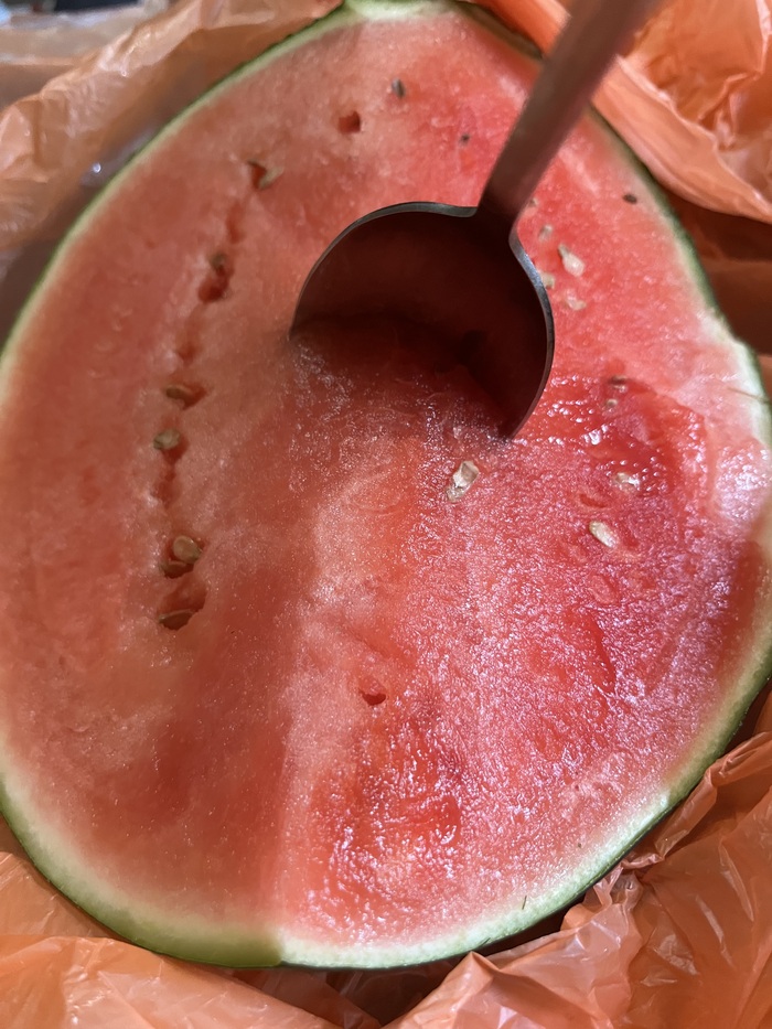 � ����� ������! ��� 44, � � ���� ���� ���������!