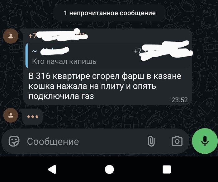 В чате дома как обычно...