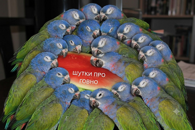 Иллюстрация к комментарию