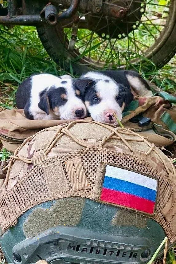 Пушистый антистресс