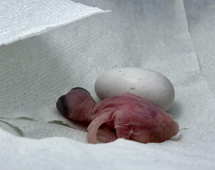 ��� �� ������ ��������� ))🐣