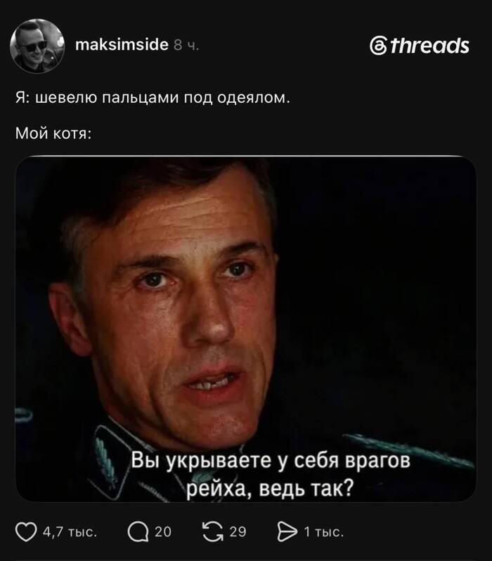 Зрачки