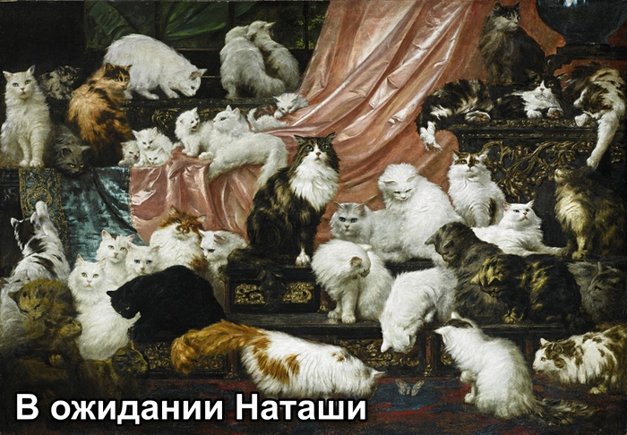 Где ты, Наташа?