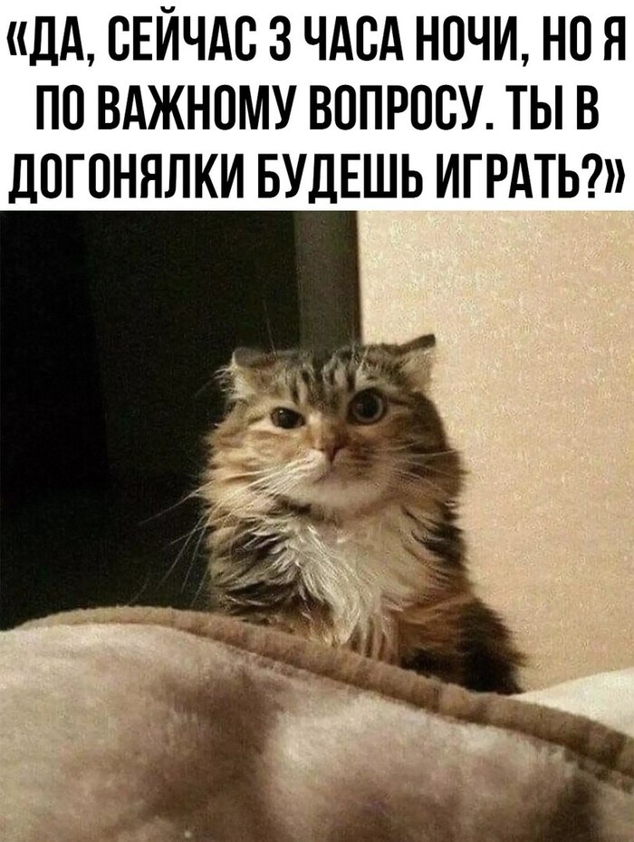 Давай, но часа через 4