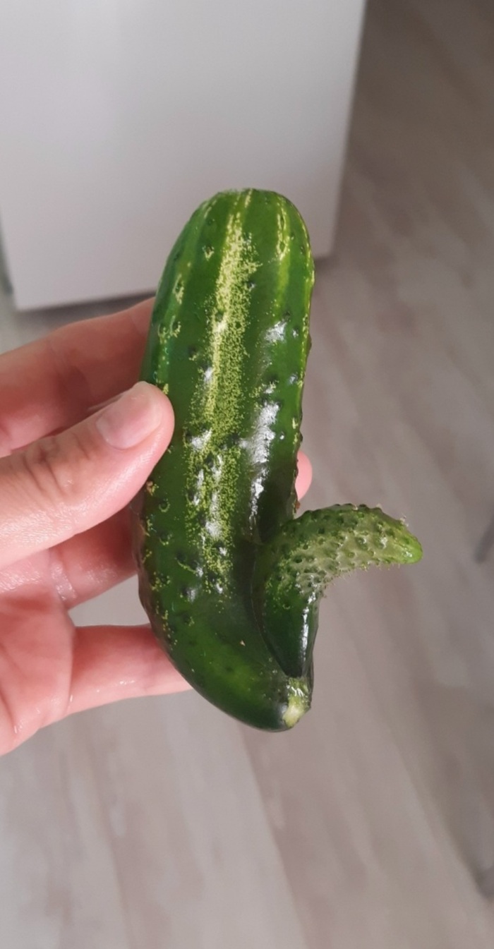 Вот такой нынче урожай