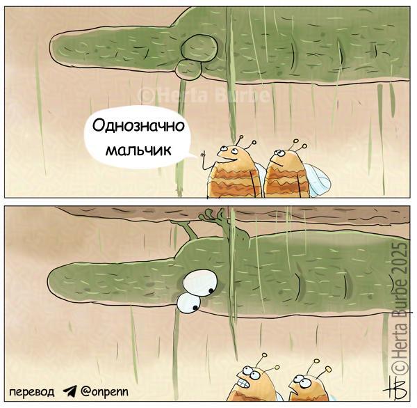 �� �� ��� ����������