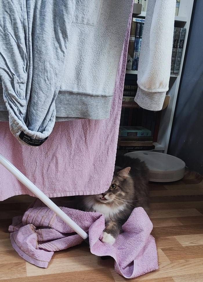 Бе-бе-бе