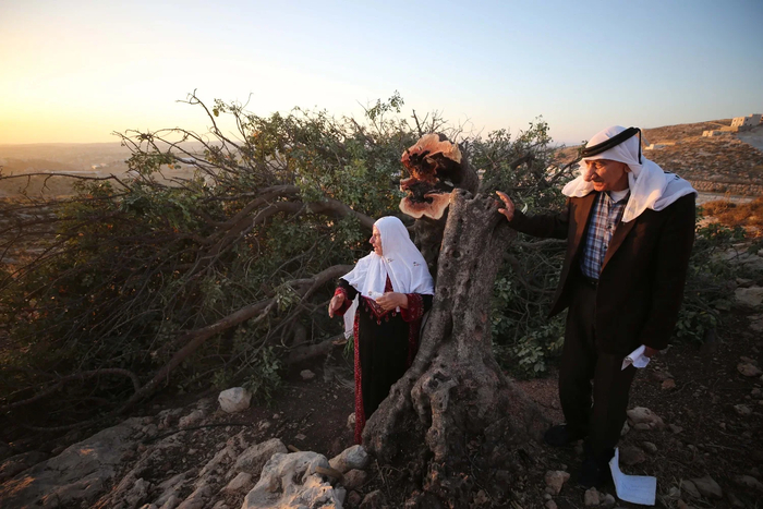 Wisam Hashlamoun/Flash90: � ������������ ��������� ����, 10 ����