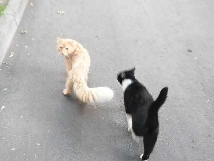 "А мы тут это вот.. ."