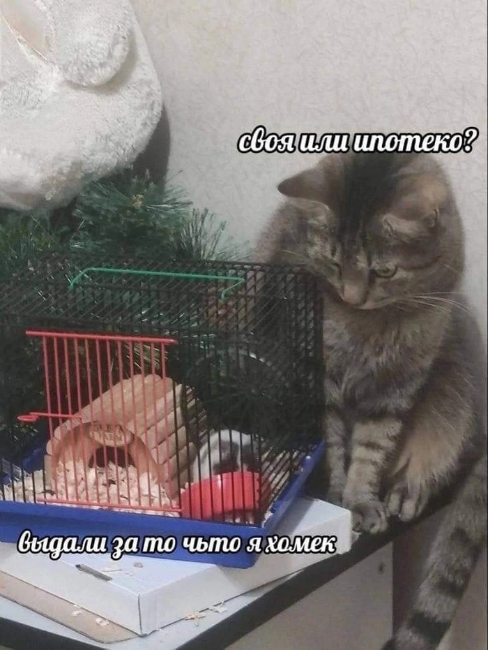 Как решить жилищную проблему