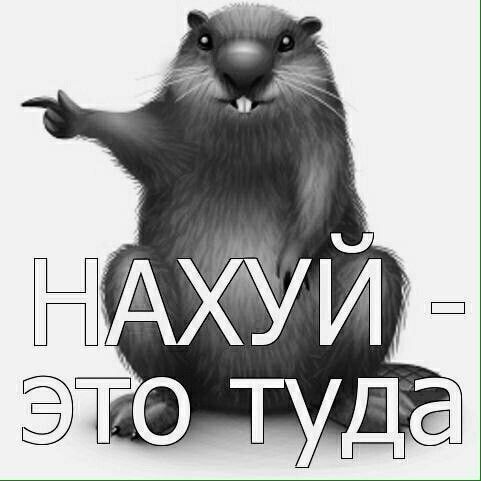 На случай важных переговоров