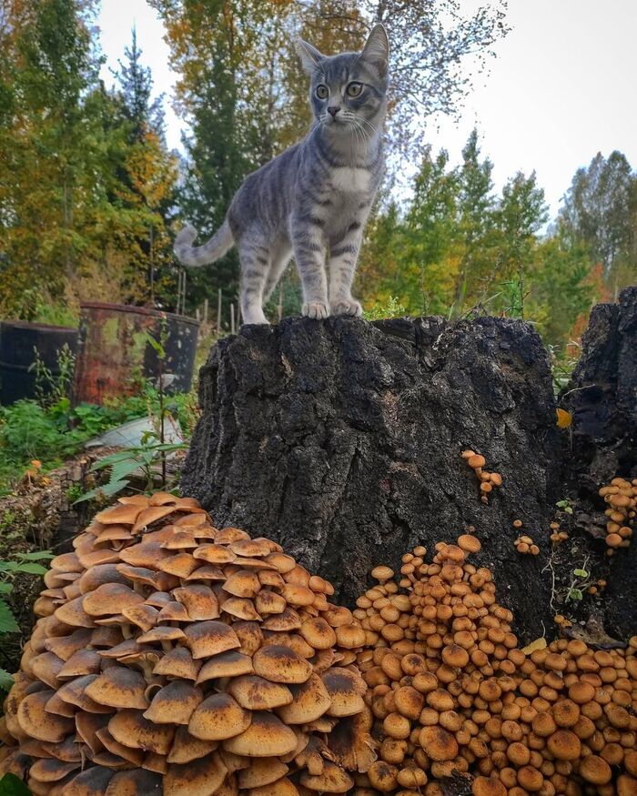 Ответ на пост «Покажите последнюю фотографию, которую вы сделали просто потому что вам было красиво»