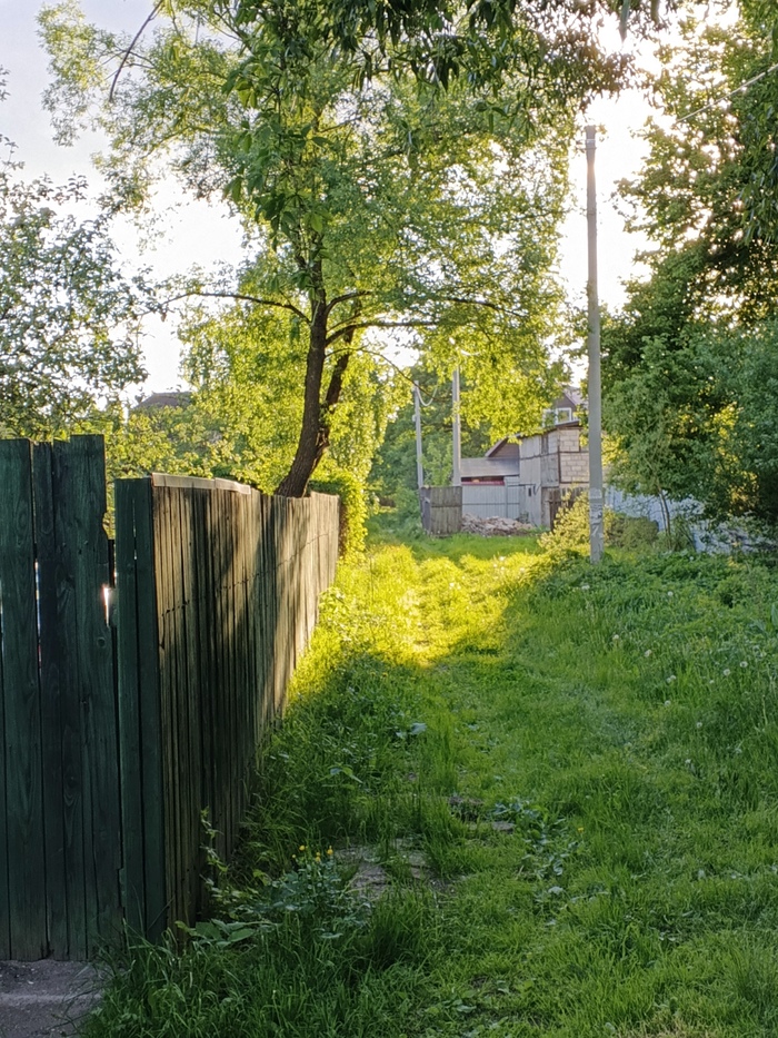 Ответ на пост «Покажите последнюю фотографию, которую вы сделали просто потому что вам было красиво»