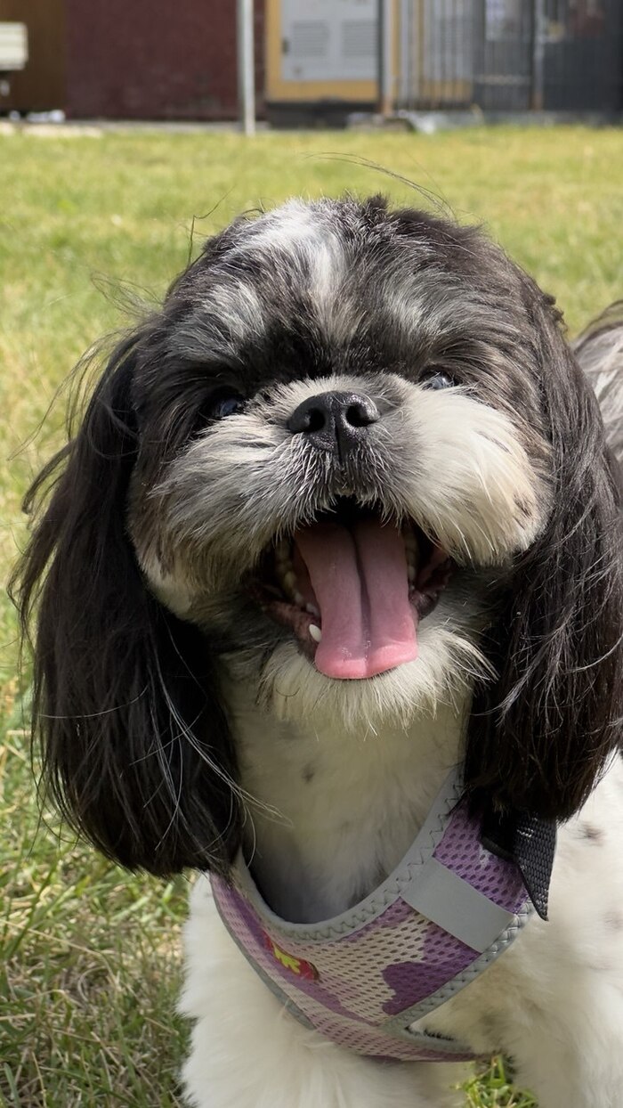 ����� PUPSOSKOT8013 � ������ �� ���� "�������� ��������� ����������, ������� �� ������� ������ ������ ��� ��� ���� �������"�