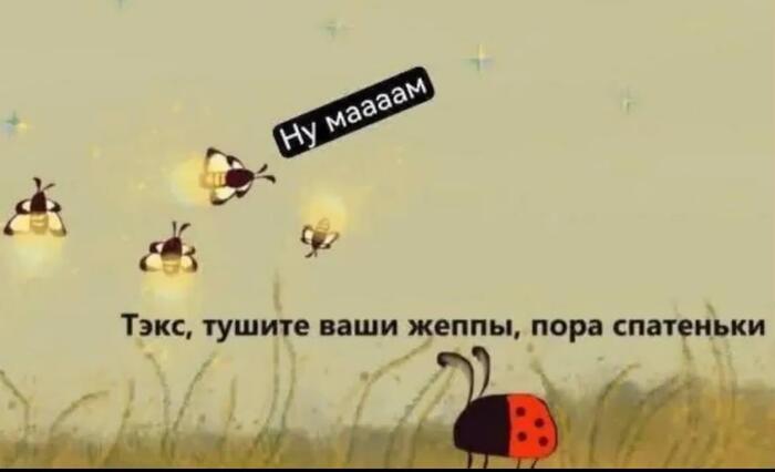 Выспаться или на пикабу посидеть?