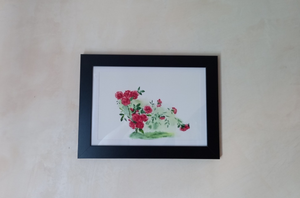 Scarlet splashes. My watercolor sketch. - My, Watercolor, the Rose, Life stories, Creation, Painting, Drawing, Strength of mind, Overcoming, Self-taught artist, Flowers, Garden, Gardening, Painting