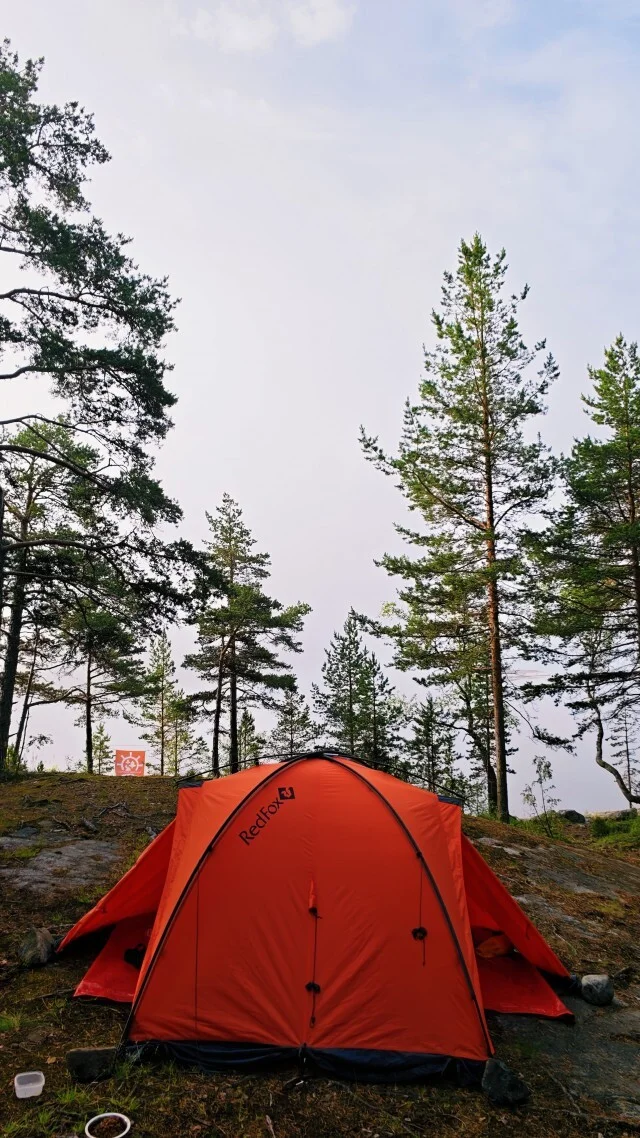 Journey through Karelia. Chapter 1: Ladoga Skerries. Part 2 - My, Alloy, Kayak, Skerries, Ladoga, Ladoga skerries, Island, Australian shepherd, Карелия, Travels, Hike, Longpost