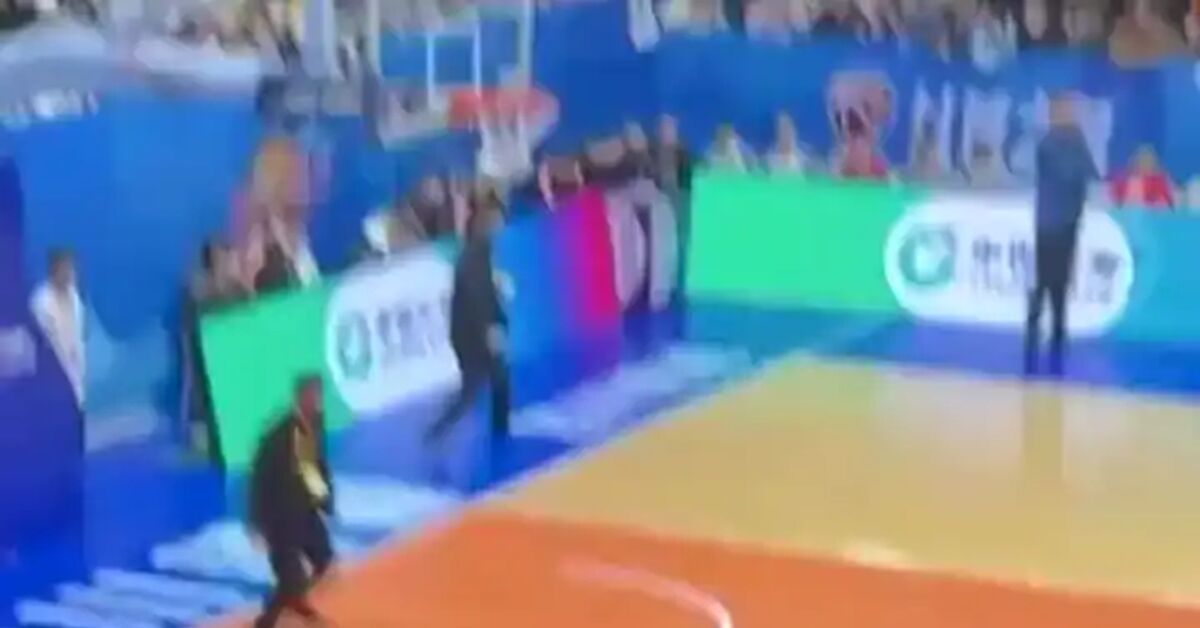Kotovoe. Best player of the match! - cat, Humor, Basketball, Video, Vertical video, Short videos, Telegram (link)