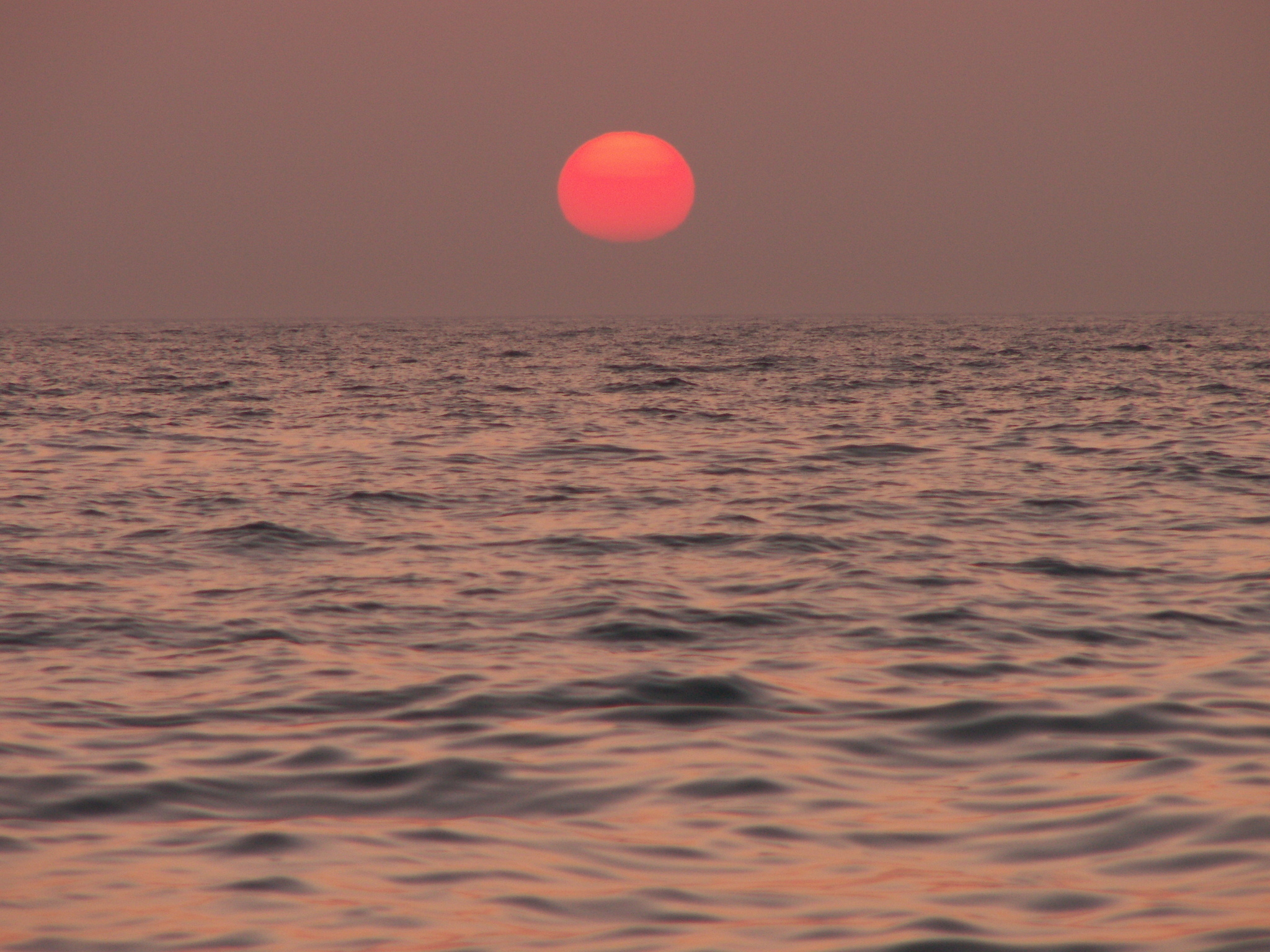 Summer - My, The photo, Hardened