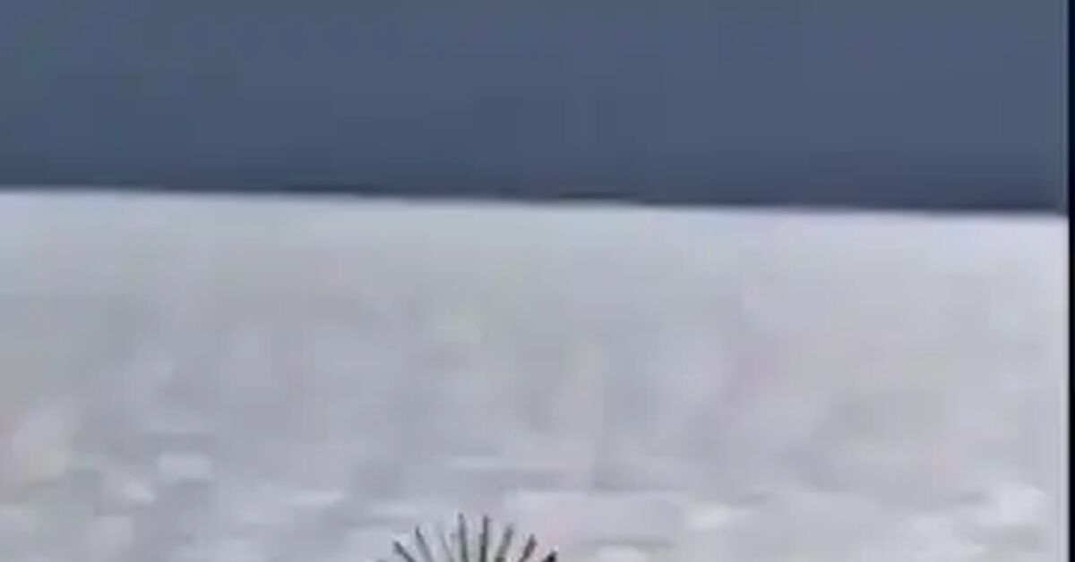 Response to the post How a Turbojet Engine Works - Energy, Engine, Turbojet engine, How is it done, Translation, Machine translate, Video, Reply to post