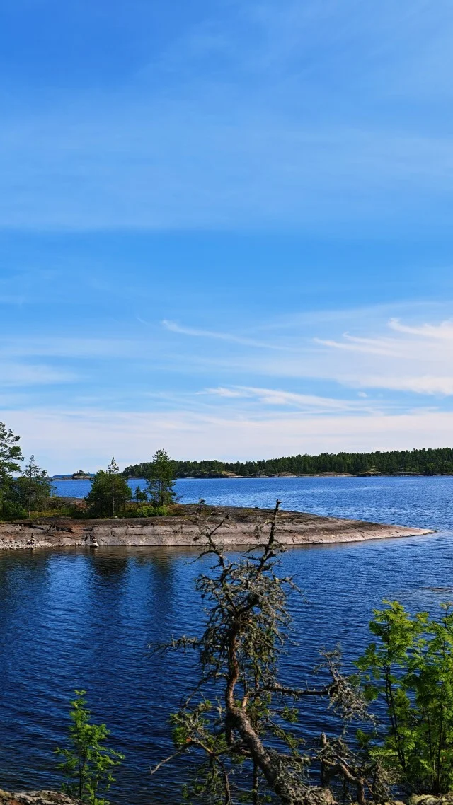 Journey through Karelia. Chapter 1: Ladoga Skerries. Part 4 - My, Skerries, Карелия, Ladoga, Lake, Alloy, Australian shepherd, Kayak, Rain, Beach, The rocks, Hike, Weather, Longpost