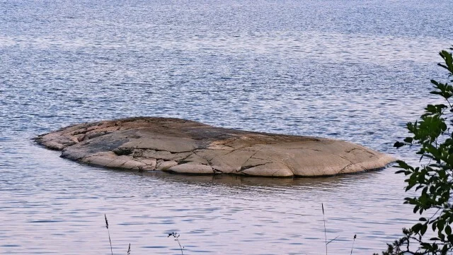 Journey through Karelia. Chapter 1: Ladoga Skerries. Part 4 - My, Skerries, Карелия, Ladoga, Lake, Alloy, Australian shepherd, Kayak, Rain, Beach, The rocks, Hike, Weather, Longpost