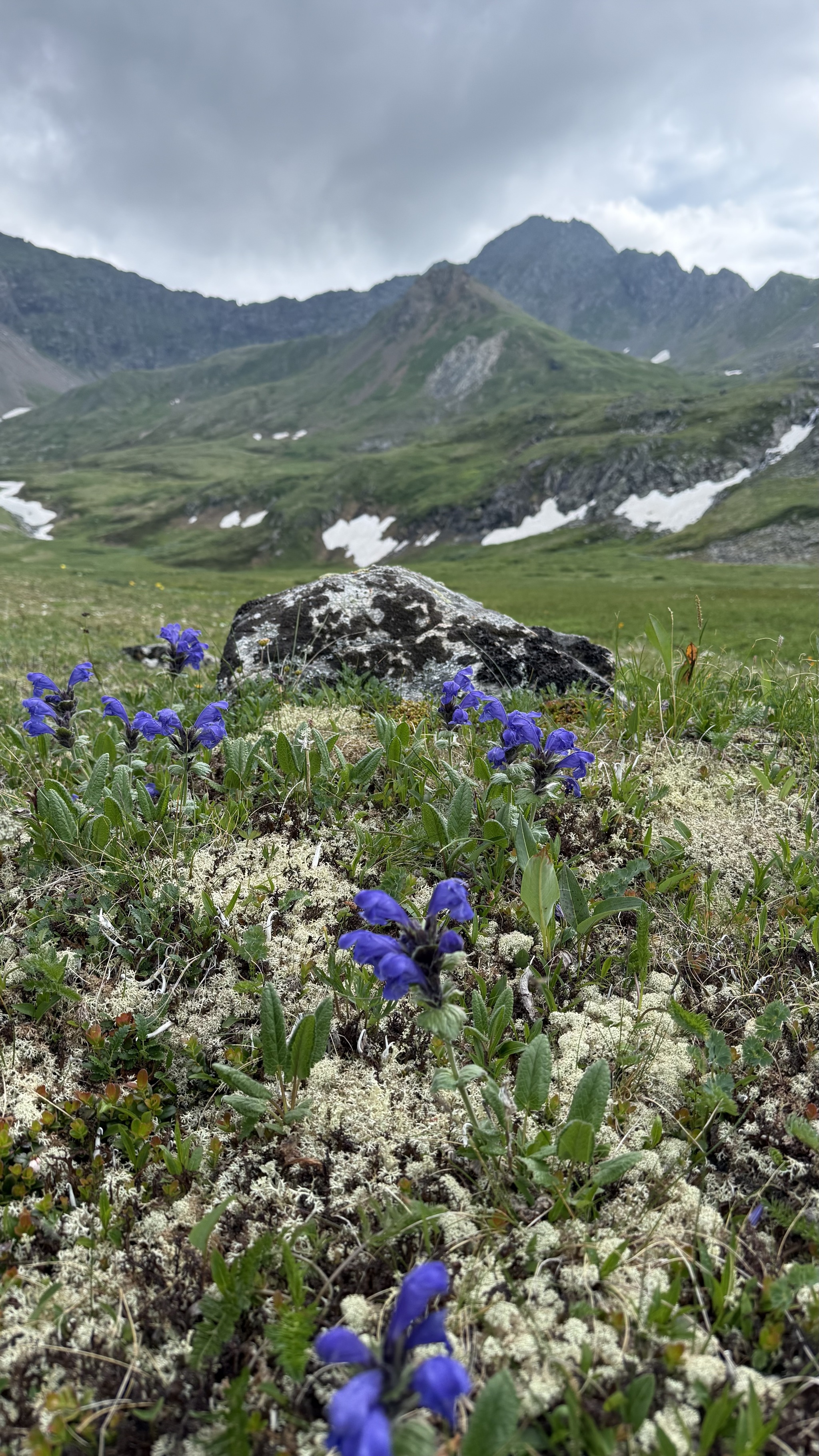 The Arkhut and Kharimta River Valleys. Buryatia, Sayan Mountains - My, Russia, Siberia, Sayan, Eastern Sayans, Nature, wildlife, Baikal, Buryatia, Irkutsk region, The mountains, Hike, Mountain tourism, Lake, The rocks, The photo, River, Beautiful view, Arshan, Longpost