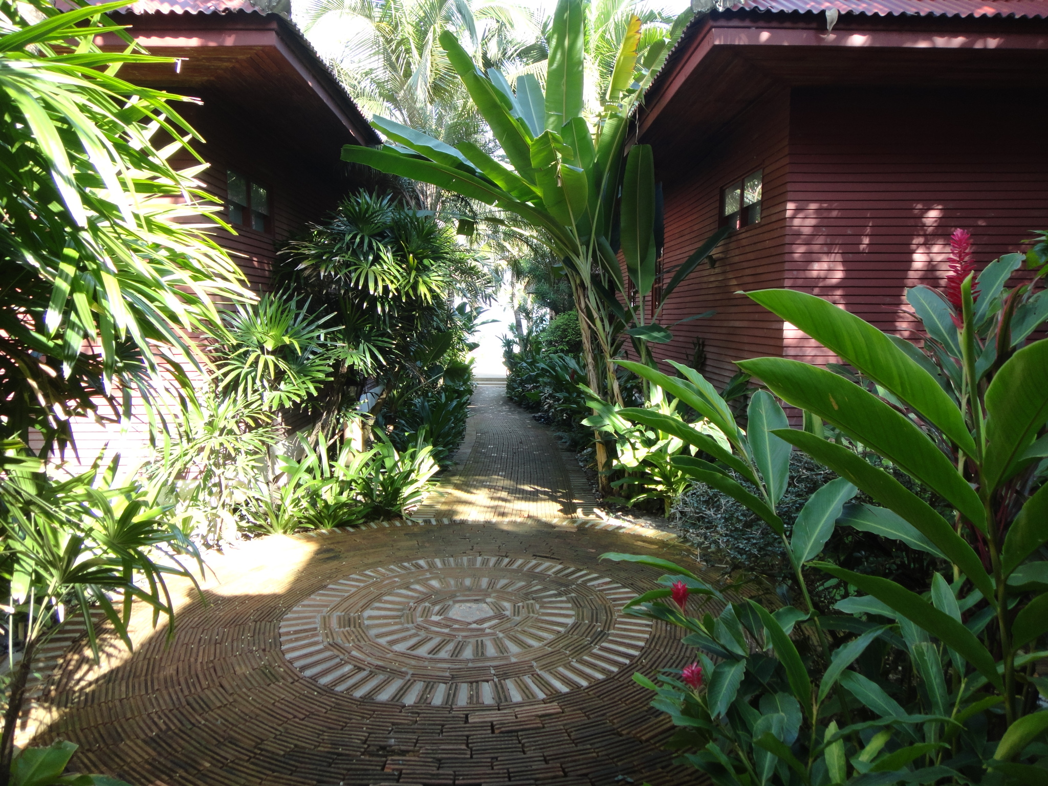 Reply to the post Show me the last photo you took just because you thought it was beautiful. - My, The photo, Mobile photography, A wave of posts, Reply to post