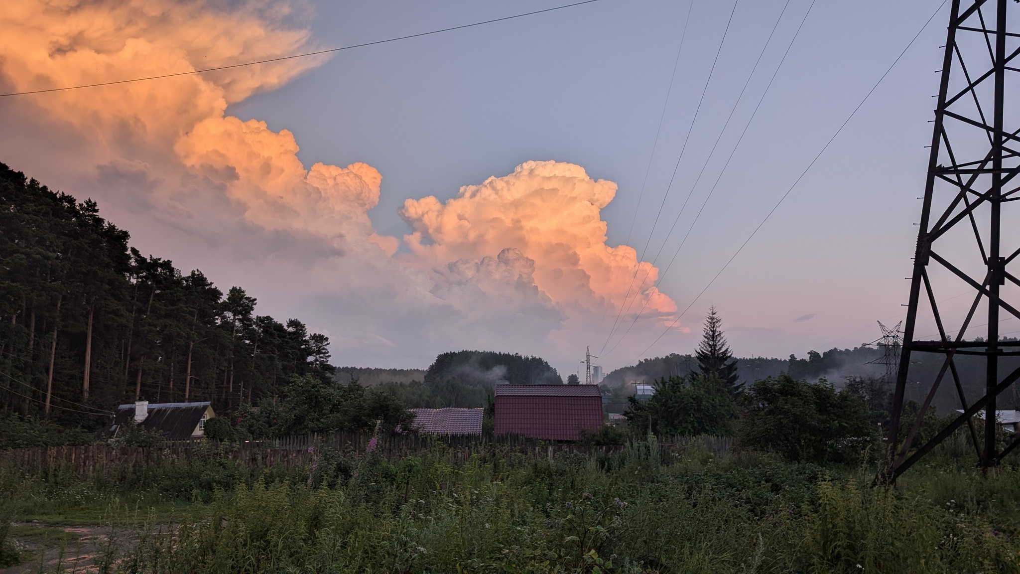 Reply to the post Show the last photo you took just because you thought it was beautiful - My, The photo, Mobile photography, A wave of posts, Google pixel smartphone, Nature, Forest, Clouds, Garden, Sunset, Reply to post