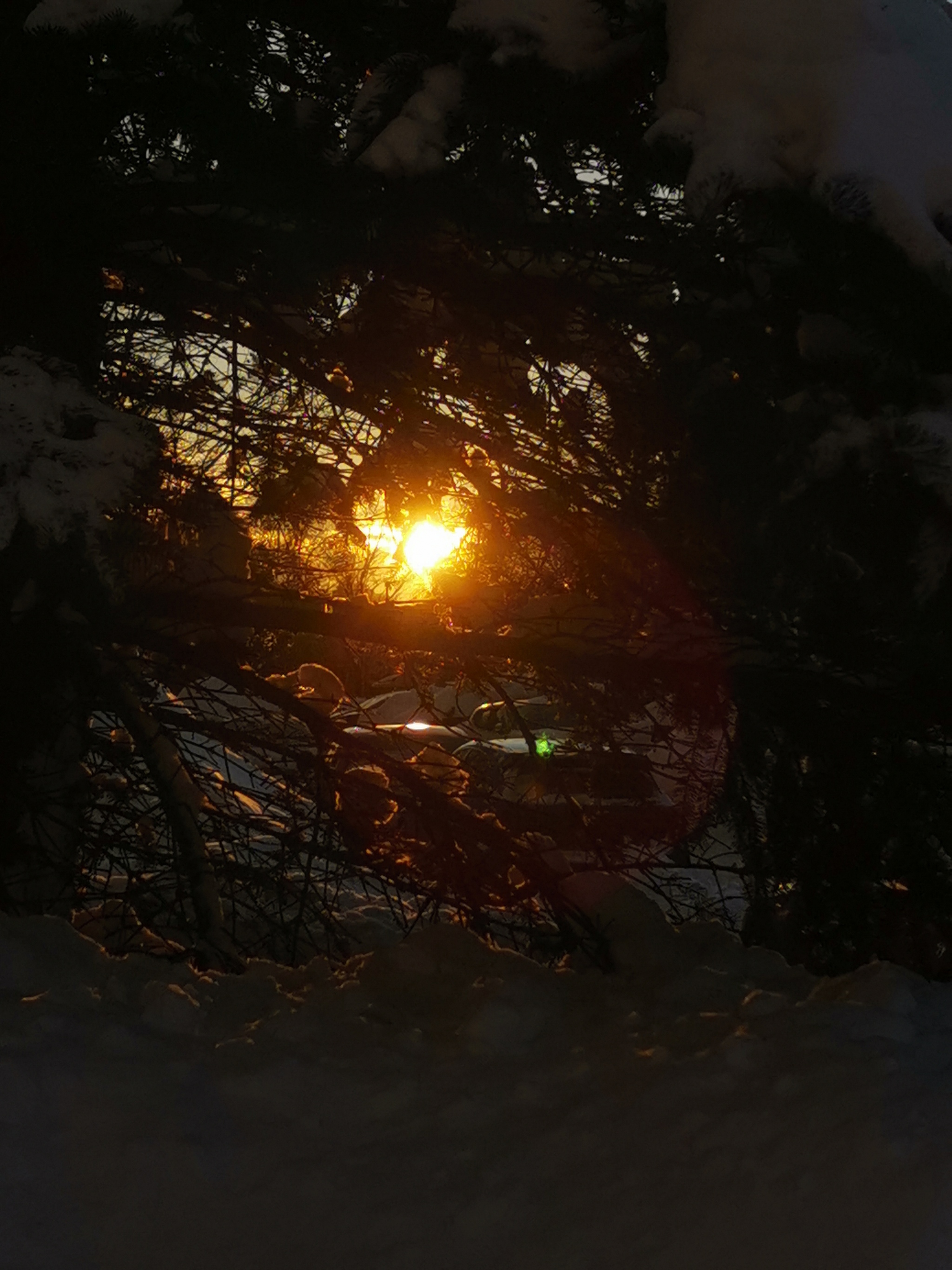 Reply to the post Show me the last photo you took just because you thought it was beautiful. - My, The photo, Mobile photography, A wave of posts, Longpost, Reply to post, Sunrises and sunsets