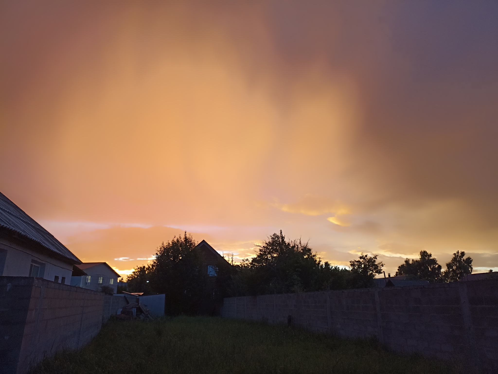 Reply to the post Show me the last photo you took just because you thought it was beautiful. - My, The photo, Mobile photography, A wave of posts, Reply to post, Longpost