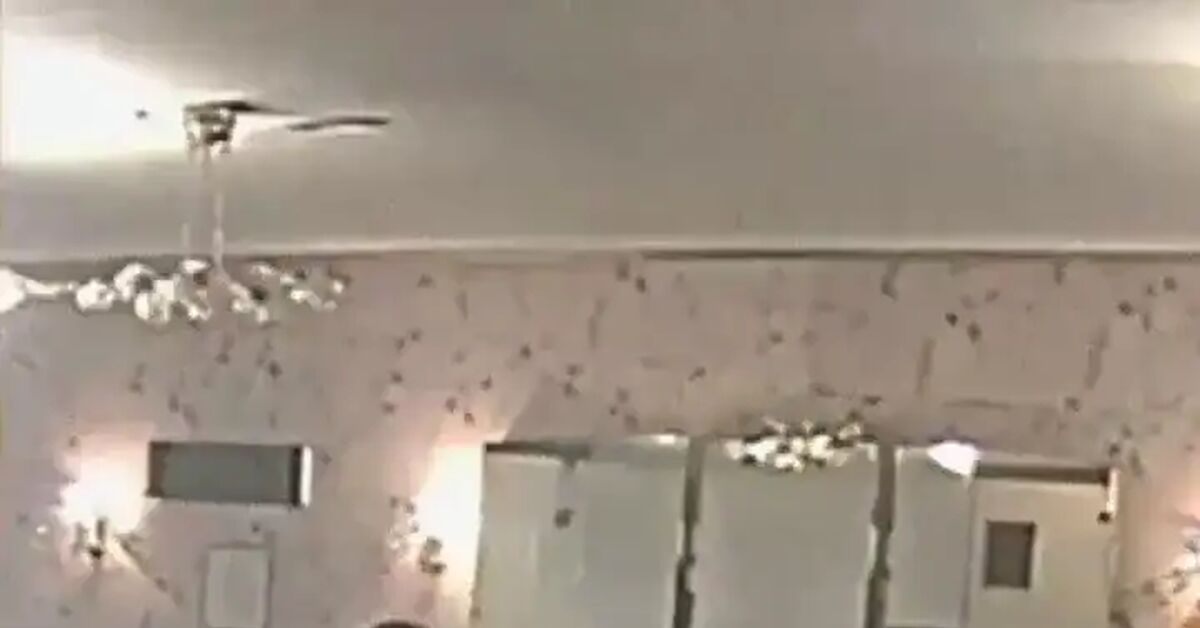 The joint caught on camera - My, Neural Network Content, 90th, Anomaly records from KONTUR, Contour, Wedding, Vertical video, Video, Short videos, 2000s, Repeat