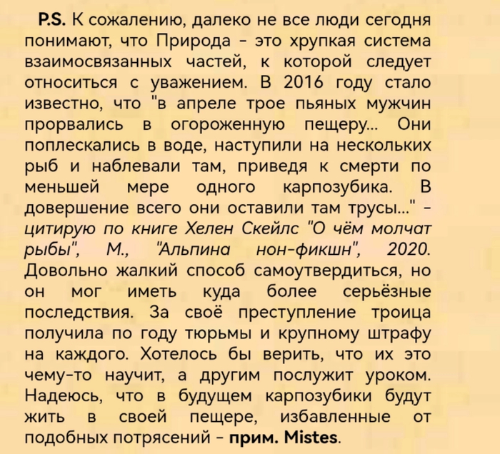 Ответ на пост «Долина Смерти: Экосистема самого жаркого места на планете»