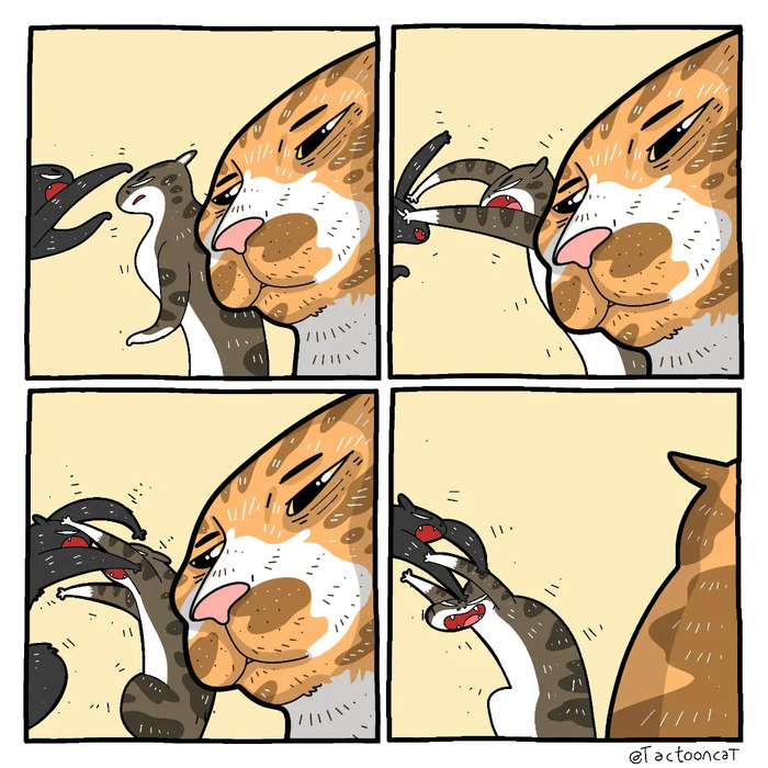 ��� �� �� ����