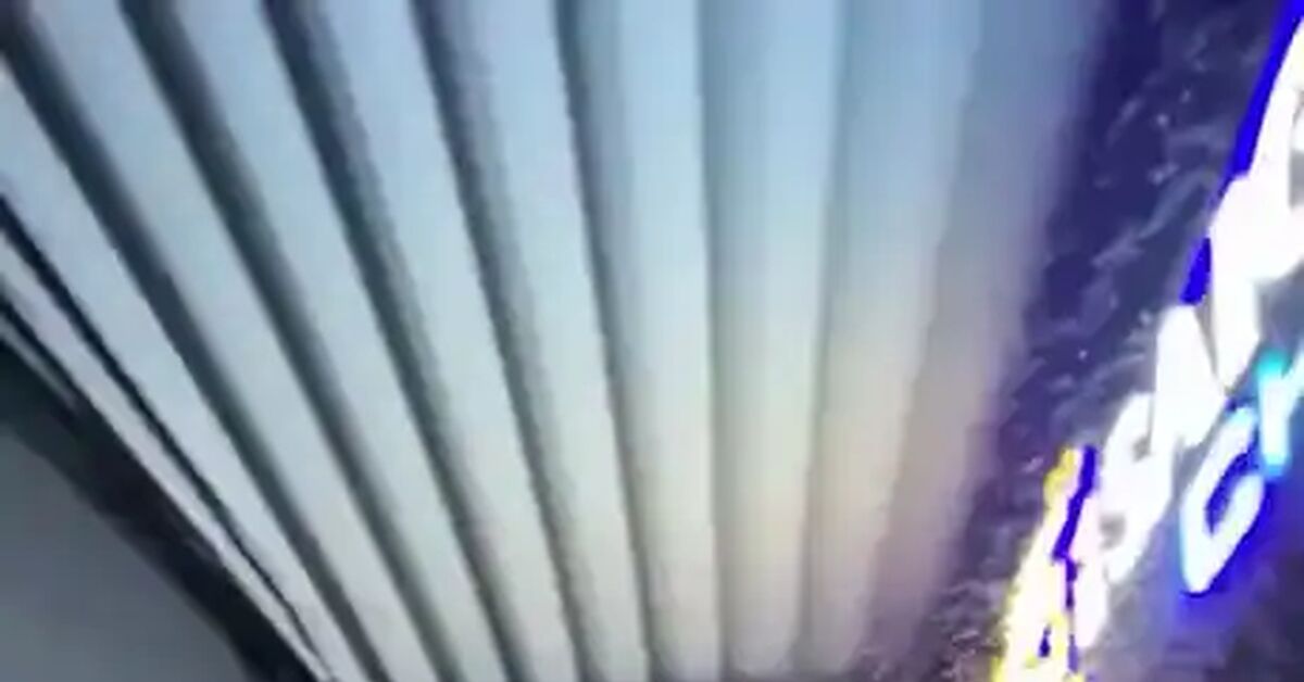 Clever! - Short videos, Vertical video, Midges, Light, Asians, Telegram (link), Video