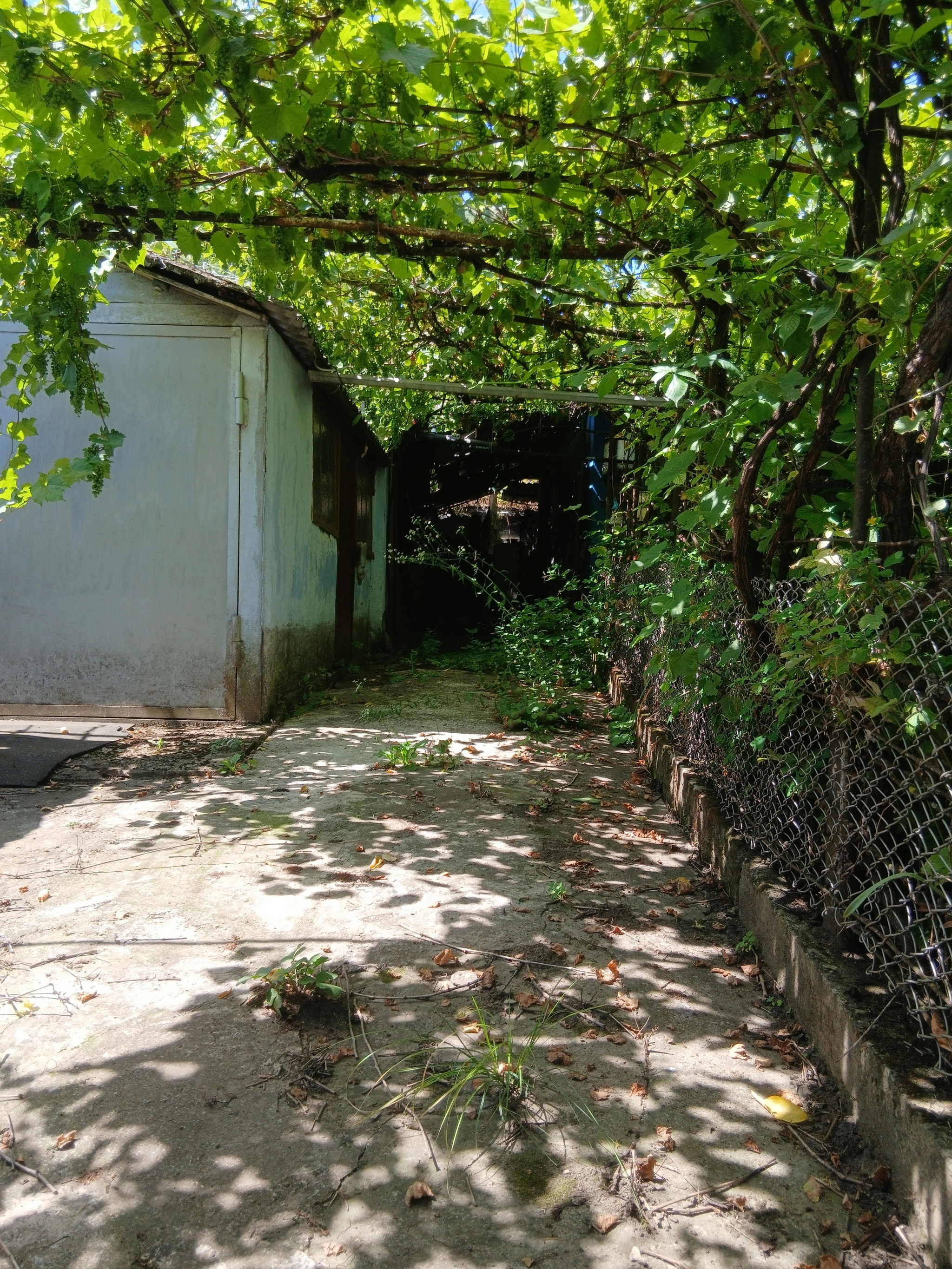 More photos of Grandma's house - My, Mobile photography, Village, Nostalgia, Childhood memories, Longpost