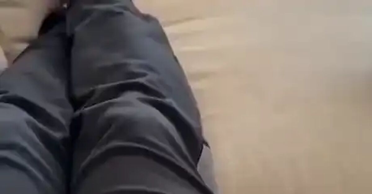 It's your responsibility now. - Series Kotomemchiki, Humor, Vertical video, Short videos, cat, Kittens, Person, Telegram (link), Video