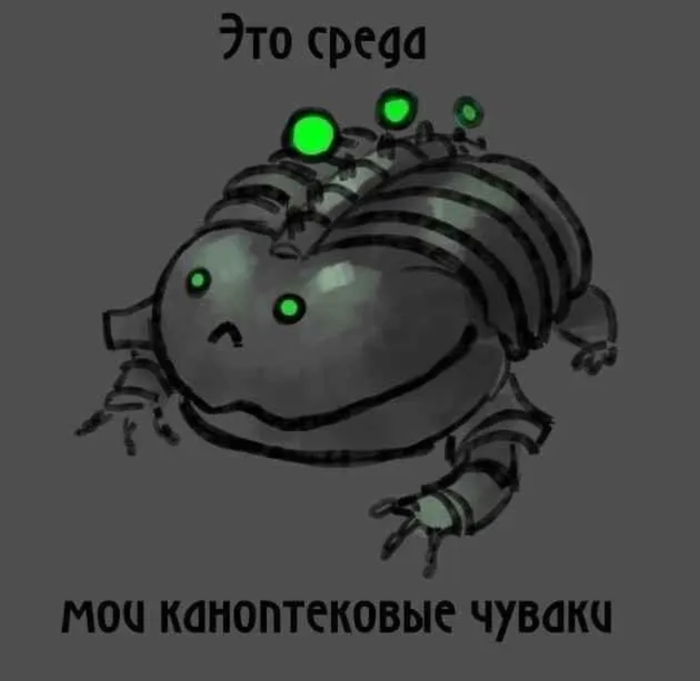 �����