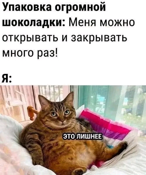 �����, ����������