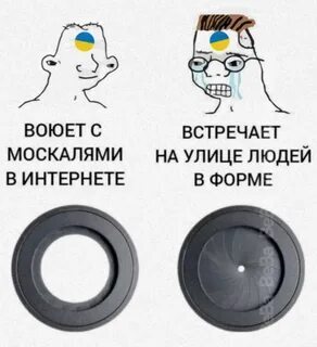 aeacoabh.jpg