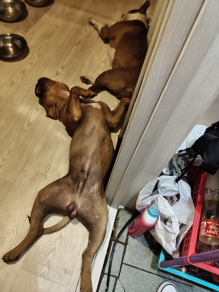 ��� �������� ������)