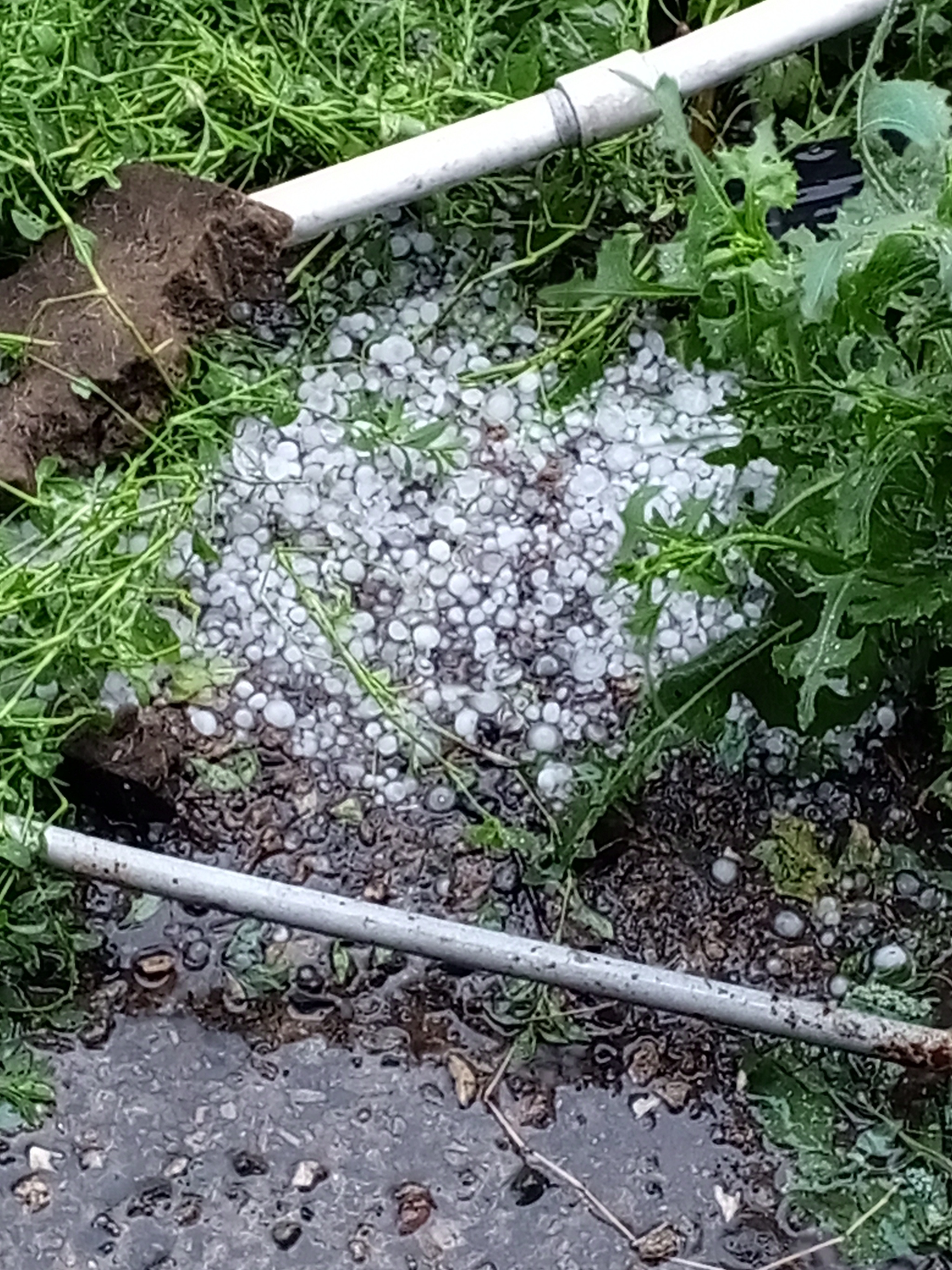 Hail in the Kemerovo region - My, Hail, Ministry of Emergency Situations, Corruption, Longpost