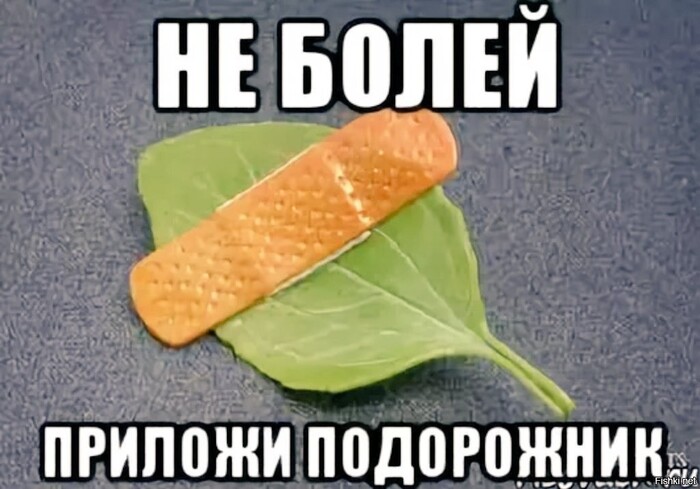 �� ������ ������